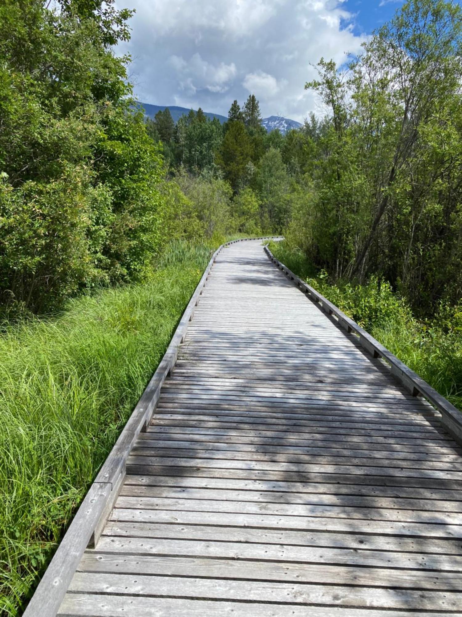 Chalet Continental Motel Valemount Εξωτερικό φωτογραφία
